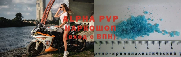 шишки Магас