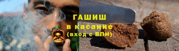 шишки Магас