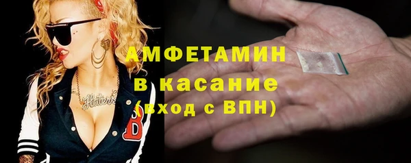 шишки Магас