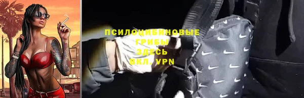 шишки Магас