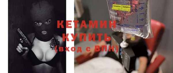 шишки Магас
