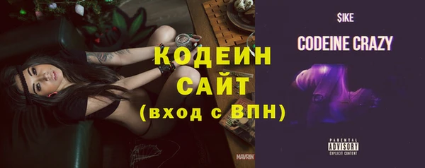 шишки Магас