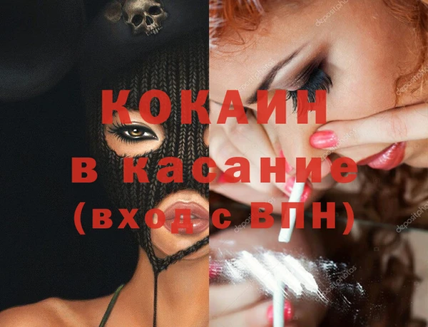 шишки Магас