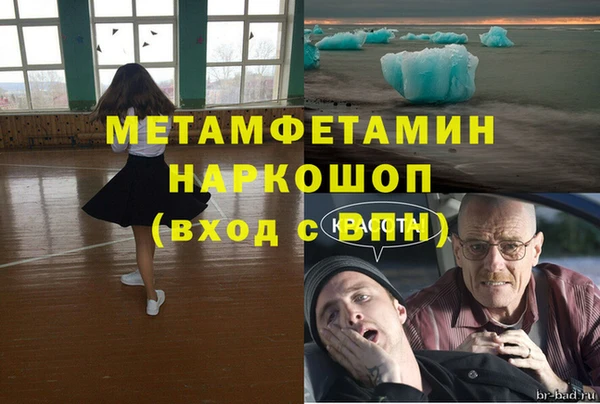 шишки Магас