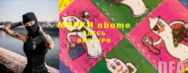 шишки Магас