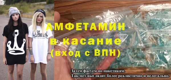 шишки Магас