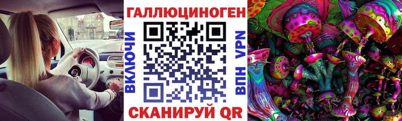 Псилоцибиновые грибы Cubensis  Моршанск 