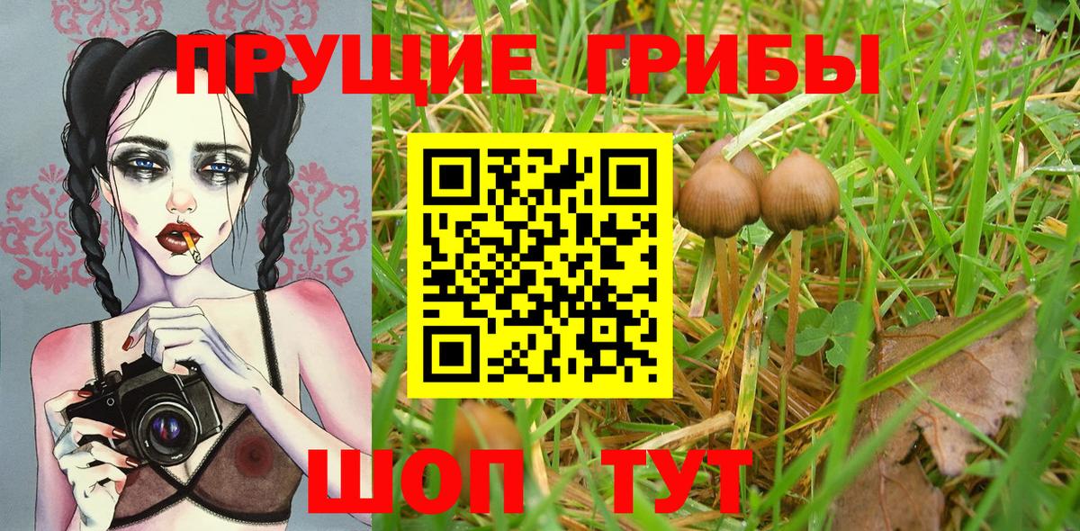 Галлюциногенные грибы мухоморы  Вход с VPN  где купить наркоту  Моршанск 