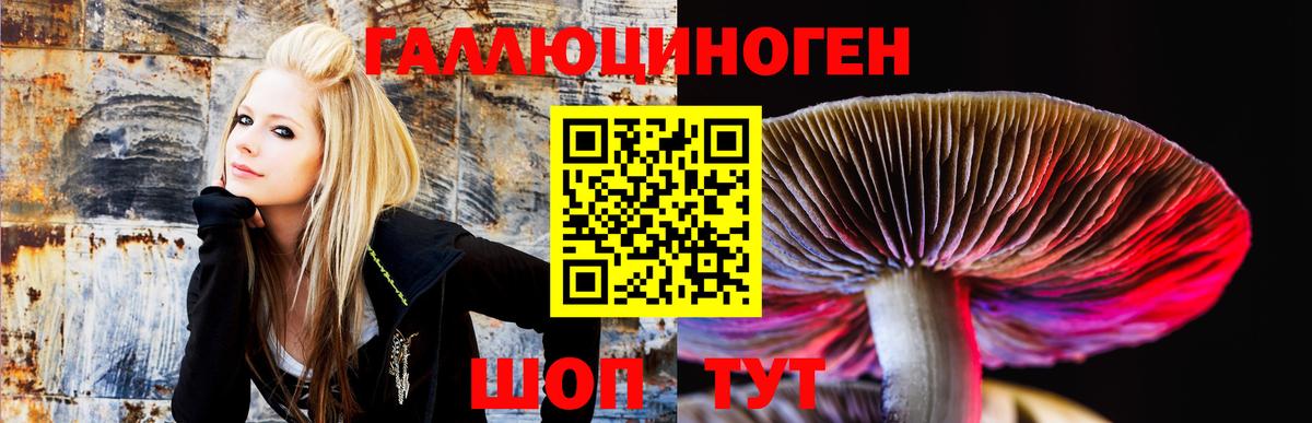 Галлюциногенные грибы Magic Shrooms Моршанск